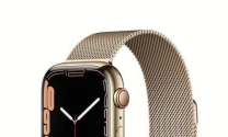 Apple Watch不锈钢和钛合金哪个更好